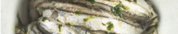 64 ricette liguri in compagnia di Umberto Curti